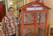 Wellensittiche sind im Lautertal gelandet