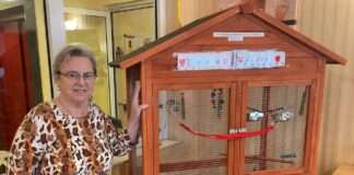 Wellensittiche sind im Lautertal gelandet