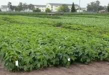 Landwirtschaft an den Klimawandel anpassen – LUFA beteiligt sich an grenzüberschreitendem Projekt