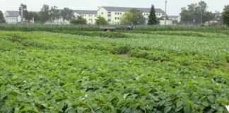 Landwirtschaft an den Klimawandel anpassen – LUFA beteiligt sich an grenzüberschreitendem Projekt