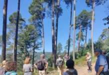 Qualifizierung für Zertifizierte Natur- und Landschaftsführerende Pfälzerwald