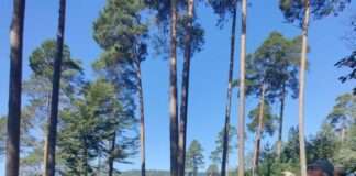 Qualifizierung für Zertifizierte Natur- und Landschaftsführende Westpfalz