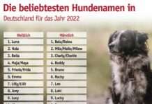 TASSO veröffentlicht die beliebtesten Tiernamen für das Jahr 2022