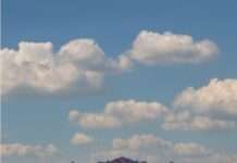 Neujahrsempfang im mpk – Neues Veranstaltungsformat bietet abwechslungsreiches Programm