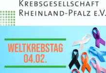 Landeskrebsgesellschaften und Krebsberatungsstellen schließen viele Versorgungslücken.