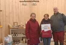 Schottische Hochlandrinder fressen für den Naturschutz