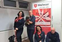 Neue ehrenamtliche Malteser sind bereit für den Hundebesuchsdienst