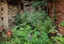 Wettbewerb: Gärten für Artenvielfalt und Klimaschutz