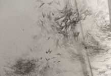 Gespräch mit Julia Steiner über ihre Wandzeichnung im mpk-Foyer