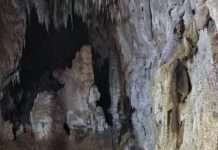 Hochschule Kaiserslautern: Leben außerhalb der Erde?