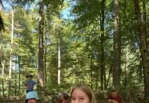 Dein Herz schlägt für’s Grüne? Freiwilliges Ökologisches Jahr