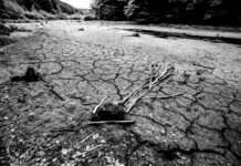 Apokalyptische Bilder – Veranstaltungsreihe zum Klimawandel