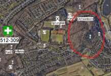 Waldpflege im Ortsbezirk Erzhütten/Wiesenthalerhof