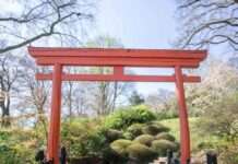 Winteröffnungszeiten des Japanischen Gartens im Winter 2023