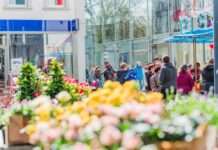 Lautern blüht auf am 25. Und 26. März