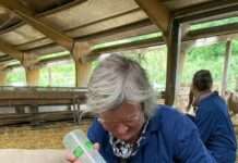 Geburtshilfe beim Schaf – Seminar im Hofgut Neumühle