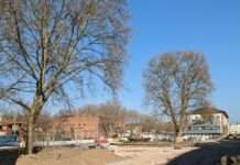 Antrag zur Sitzung des Stadtrates: Gestaltung städtischer Areale