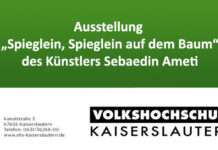 Ausstellung Volkshochschule Kaiserslautern: „Spieglein, Spieglein auf dem Baum“