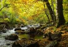 Ökumenischer Gottesdienst im Haus der Nachhaltigkeit
