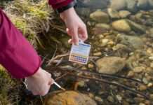 Unser Wasser – der unscheinbare Schatz