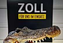 3. März 2022: Tag des Artenschutzes Zoll hilft, bedrohte Tiere und Pflanzen zu schützen