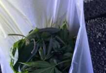 Betäubungsmittel auf der Autobahn verloren