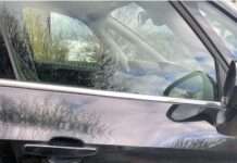 Auto an Stadthalle zerkratzt – Zeugen gesucht!