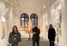 Finissage „L’équilibre éphémère“ am 18. März in der Fruchthalle