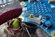 Wie ein Computer denken lernen