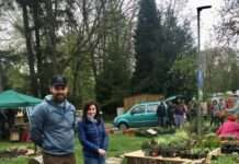 Pflanzenbörse: Bunte Vielfalt für den Garten