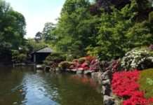 Wieder Waldbaden im Japanischen Garten – Einmal monatlich jeweils unter anderem Motto
