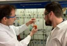 VolkswagenStiftung fördert Forschung an biochemischer Fixierung von Schwefeldioxid