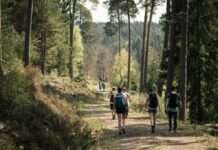 Uni-Villa-Wanderung der RPTU findet am 29. April statt