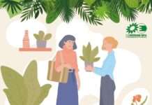 GRÜNE Europaabgeordnete Jutta Paulus lädt zu Saatgut- und Pflanzentauschbörse in Kaiserslautern ein