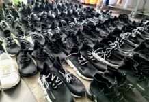 Der Zoll gegen Marken- und Produktpiraterie; Am 26. April ist Tag des geistigen Eigentums