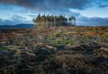 CampusKultur: Klimawandel-Wanderung