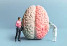 Das getäuschte Gehirn: Realität – Wahrnehmung – Illusion