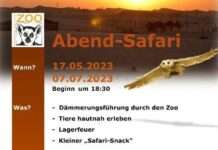 Abend-Safari im Zoo Kaiserslautern