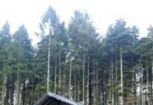 Exkursion zum Bürckel-Jagdhaus „Lassmichinruh“ – Kooperationsveranstaltung von IPGV und Landeszentrale