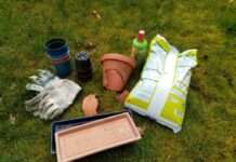 Wohin mit den Abfällen aus der Gartenarbeit?
