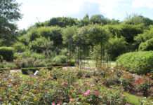 Hier blüht Ihnen was: Tag des Pfalztheaters auf der Gartenschau am Pfingstmontag!