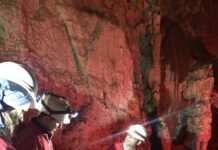 Waste2Value-Dokumentation „made in Südwest“