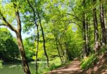 Mittwochswanderung Pfälzerwald-Verein Kaiserslautern