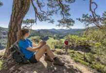 Einladung zum bundesweiten Jugendforum der Biosphärenreservate in den Pfälzerwald