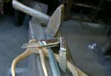 Biosphäre erleben im Sommer