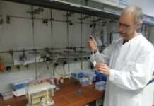 Brisant, weil giftig und extrem langlebig