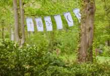 Aktuelles vom „Friedhof 3.0“ – Pflanzen gegen das Vergessen