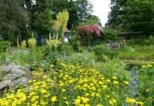 Karlstal-Perspektiven und Naturgarten-Paradiese