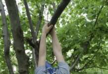 Zecken: So schützen Sie sich vor den Blutsaugern