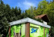 SWK fördert Schulprojekt: Kunst soll auf Artensterben aufmerksam machen